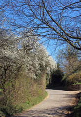 View down a country lane in Springtime, Derbyshire England
