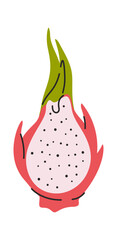 Hand drawn pitahaya dragon fruit