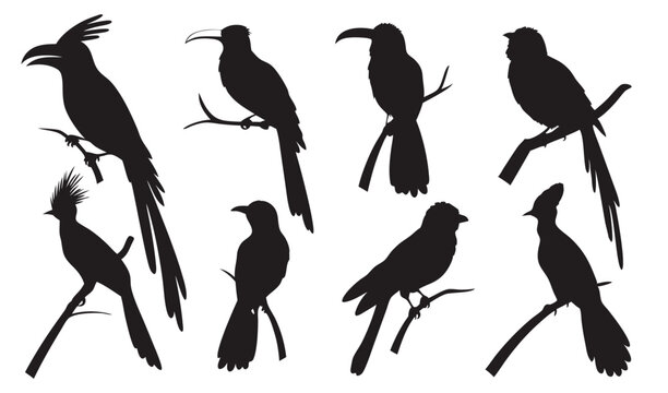 Bird Silhouette Perching Ensemble