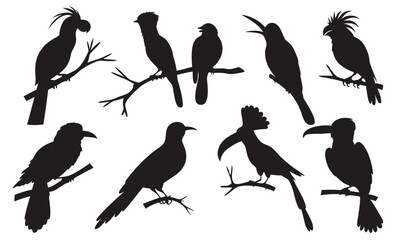 Diverse Bird Silhouette Collection