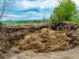 Misthaufen mit Aussicht