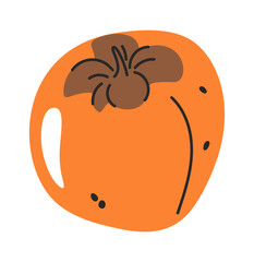 Persimmon hand drawn exotic dessert