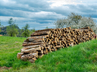 Brennholz Lager auf einer Wiese im Frühjahr © focus finder