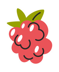 Hand drawn sweet red raspberry