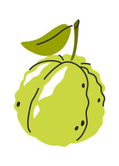 Sugar apple hand drawn fruit