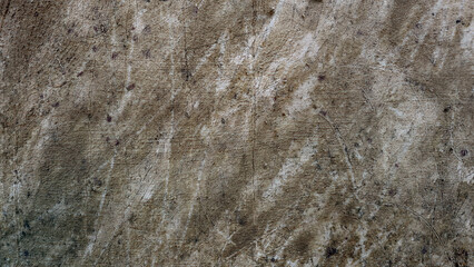wall texture