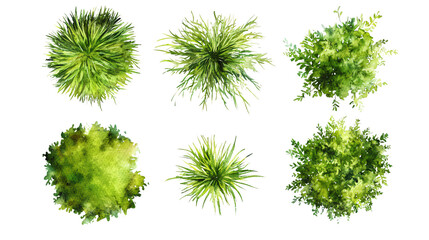 Vibrant Green Grass on White Background - Watercolor Set for Design Projects