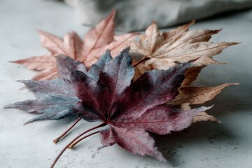 Colorful autumn leaves arranged artistically on a textured surface in a soft light setting