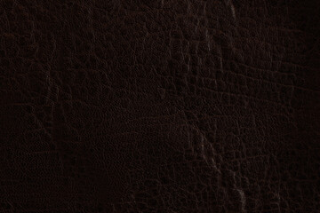 Close-up detail of the textured surface of natural leather