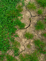 Risse im trockenen Ackerboden