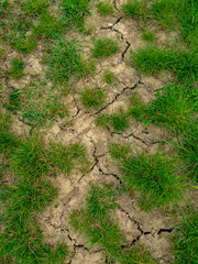 Risse im trockenen Ackerboden