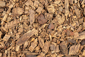 Texture of canary pine (Pinus canariensis) wood chips as background

