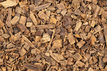 Texture of canary pine (Pinus canariensis) wood chips as background
