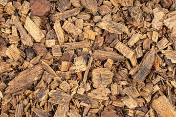 Texture of canary pine (Pinus canariensis) wood chips as background
