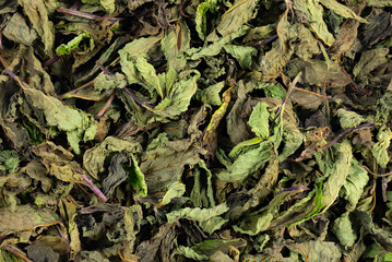 Peppermint (Mentha spicata) dried plant surface, close-up view