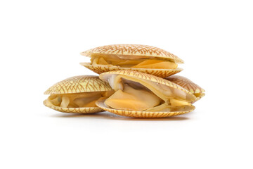 Closed up fresh baby clams, venus shell, shellfish, carpet clams, short necked clams, as raw food from the sea are the seafood ingredients. fresh clams Background.