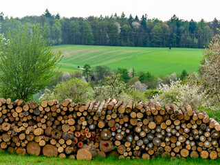 Brennholzlager auf einer Wiese im Frühjahr