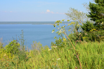 Scenic lakeside view on a beautiful summer day with blue sky