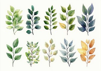 Watercolor Botanical Leaves Clipart Set Elegant Greenery Illustrations for Wedding Invitations Greeting Cards Floral Designs