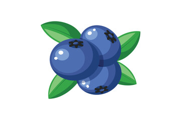 Blueberry isolated on a white background. Fruit blueberry illustration.