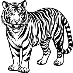 Fototapeta premium Aggressive Black and White Tiger Illustration Standing