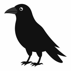 crow on a white background