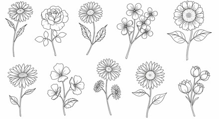 Floral Outlines Collection Vector Illustration of Various Flowers for Design