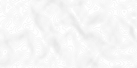 White topography topology vector white background fresh contour map texture. white seamless pattern Abstract background with a wave Topography and geography map grid abstract backdrop.