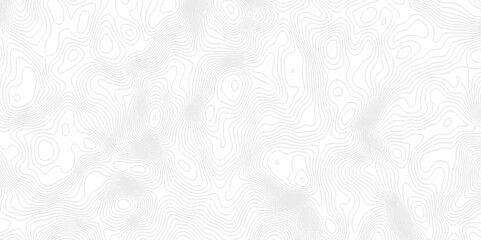 White topography topology vector white background fresh contour map texture. white seamless pattern Abstract background with a wave Topography and geography map grid abstract backdrop.