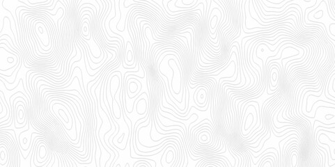 White topography topology vector white background fresh contour map texture. white seamless pattern Abstract background with a wave Topography and geography map grid abstract backdrop.
