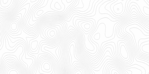 White topography topology vector white background fresh contour map texture. white seamless pattern Abstract background with a wave Topography and geography map grid abstract backdrop.