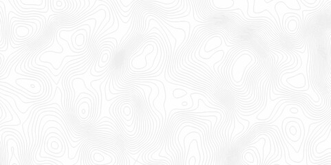 White topography topology vector white background fresh contour map texture. white seamless pattern Abstract background with a wave Topography and geography map grid abstract backdrop.