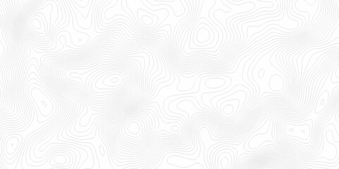 White topography topology vector white background fresh contour map texture. white seamless pattern Abstract background with a wave Topography and geography map grid abstract backdrop.