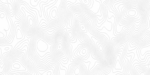 White topography topology vector white background fresh contour map texture. white seamless pattern Abstract background with a wave Topography and geography map grid abstract backdrop.