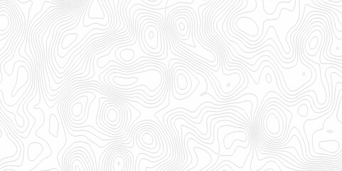 White topography topology vector white background fresh contour map texture. white seamless pattern Abstract background with a wave Topography and geography map grid abstract backdrop.