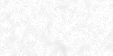 White topography topology vector white background fresh contour map texture. white seamless pattern Abstract background with a wave Topography and geography map grid abstract backdrop.