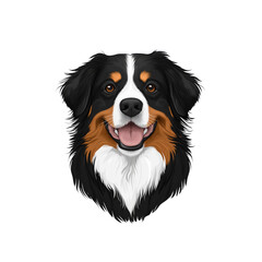 Happy Bernese Mountain Dog Portrait - Digital Art Illustration