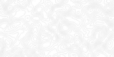 Abstract curve grid map and topo contour map on white background, Topographic contour lines. Seamless pattern with lines Topographic map. Geographic mountain relief diagram line wave carve design.