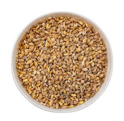 Plate with cereals on white background. Isolate of plate with dry pearl barley