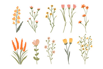 Cute vector flowers set. Colorful  hand drawn floral collection. Spring or summer design for invitation, wedding or greeting cards