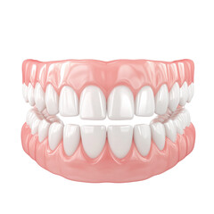 Healthy human upper and lower teeth with pink gums medical dental illustration isolated on transparent background.