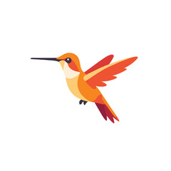 Obraz premium Orange_hummingbird_with_open_wings