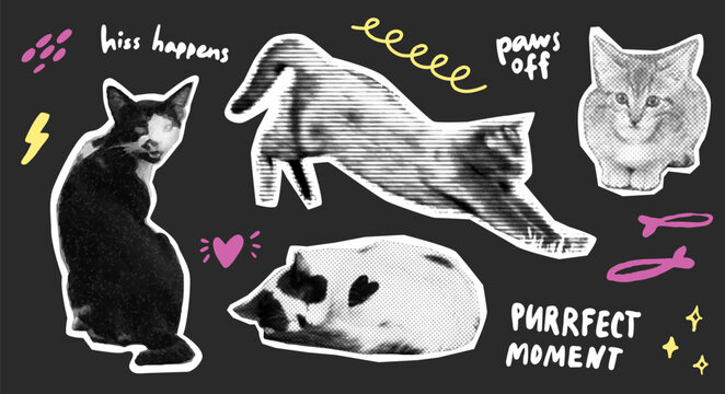 Crazy cats sticker pack, halftone collage black white zine cutouts, journal page template, typography funny text