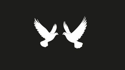 Two white doves facing each other on black background

