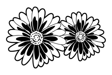 white flower on black