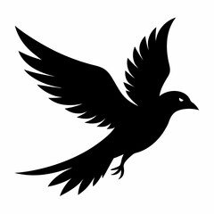 dove of peace
