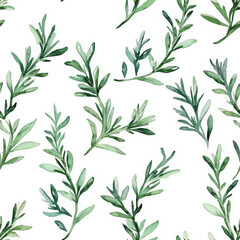 Fototapeta premium Green sprigs float serenely, minimalist boho style creates peacefullness
