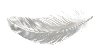Silver Feather: A Single, Delicate Plume on White Background