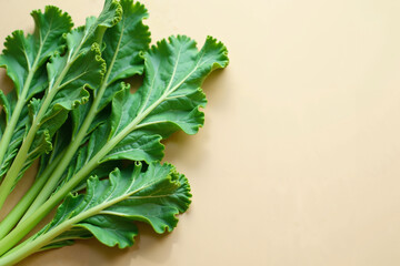 Fresh lettuce leaves are positioned against a beige background.