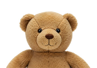 Obraz premium bear on white background